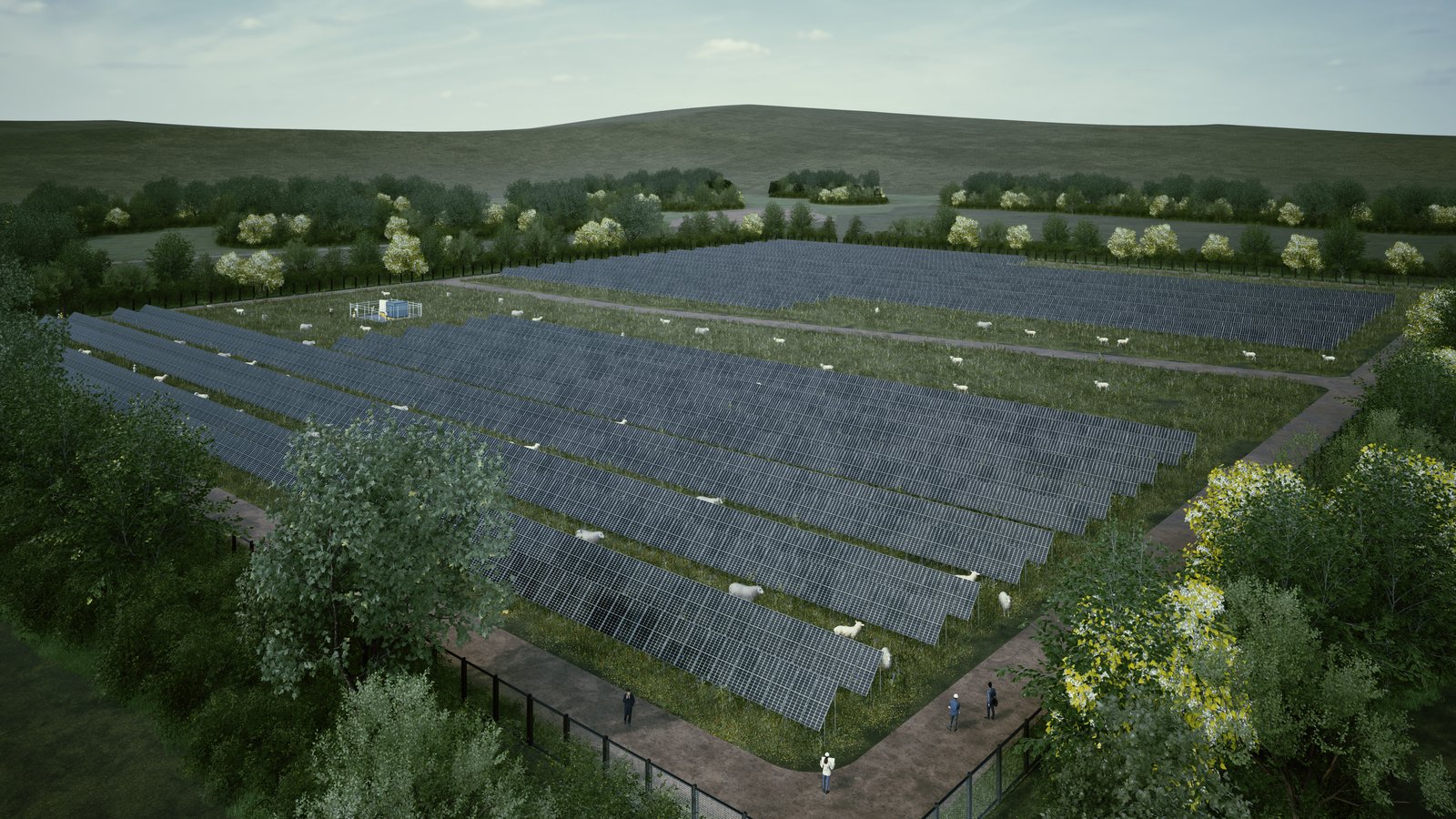 Representación del campo agrivoltaico de Panimavida: hileras de paneles solares con ganado pastando entre ellas y los caminos de servicio del predio